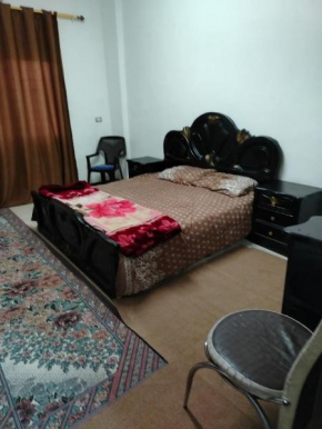 شقة ام نوارة الحديثة الفارهة spacious economic flat